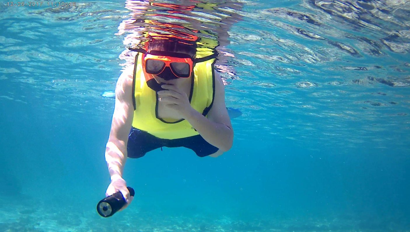 Vividia F8 Waterproof Defender LED Flashlight Torch Underwater DVR Camera with Photo/Video/Audio Recordable Capability and 1.5” LCD Monitor