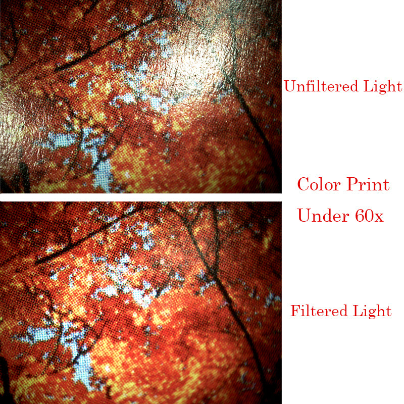 Vividia VI-VOM17 260 X Magnification and 9.0 Mega Pixels Vividia High Resolution Microscope With CPL Filter