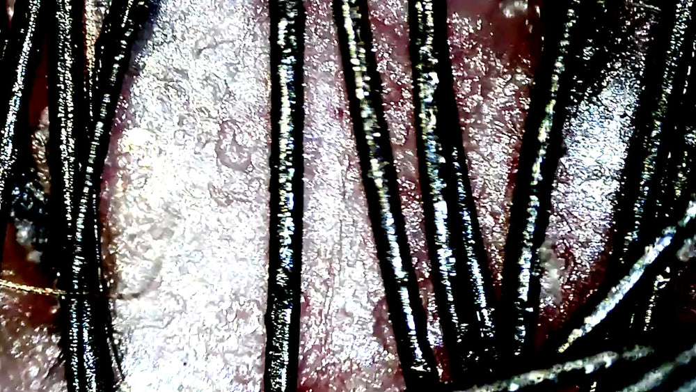 Vividia H06 WiFi Wireless Portable Hair Scalp Skin Microscope for iPad iPhone Android Devices with 250x Lens