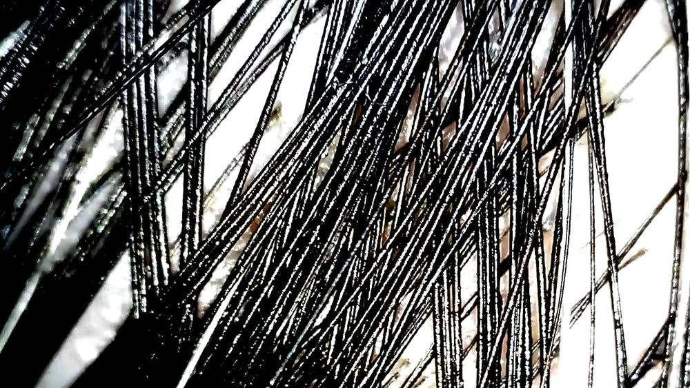 Vividia H07 WiFi Wireless Portable Skin Hair Scalp Microscope for Android iPhone iPad with 50x Lens