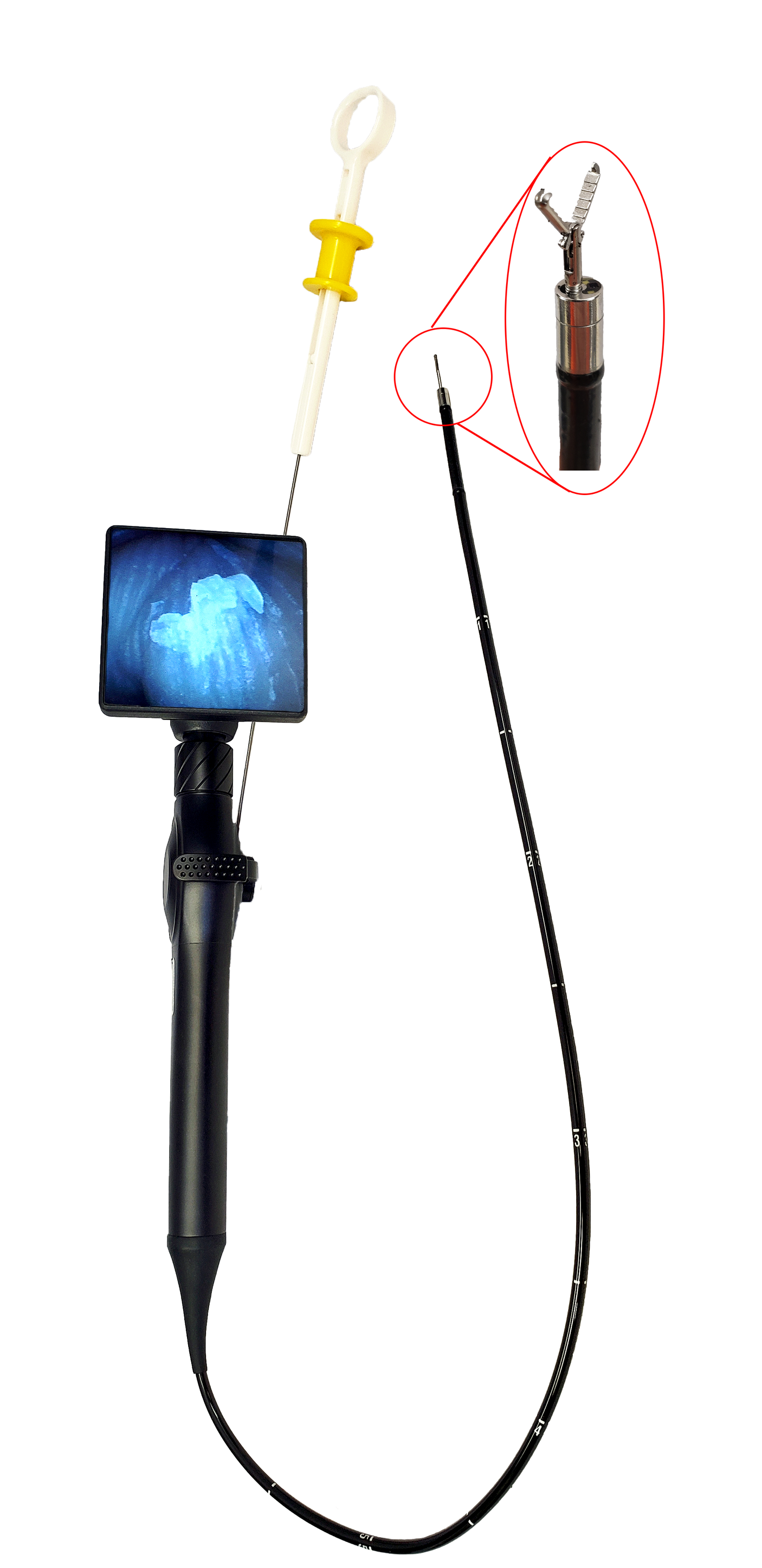 Vividia Y-4860 Veterinary Handheld Portable Video Endoscope with 2-Way Articulation 4.8mm Diameter Probe 600mm Long Insertion Tube 2.2mm Working Channel and 4 Inch Touch Screen Monitor