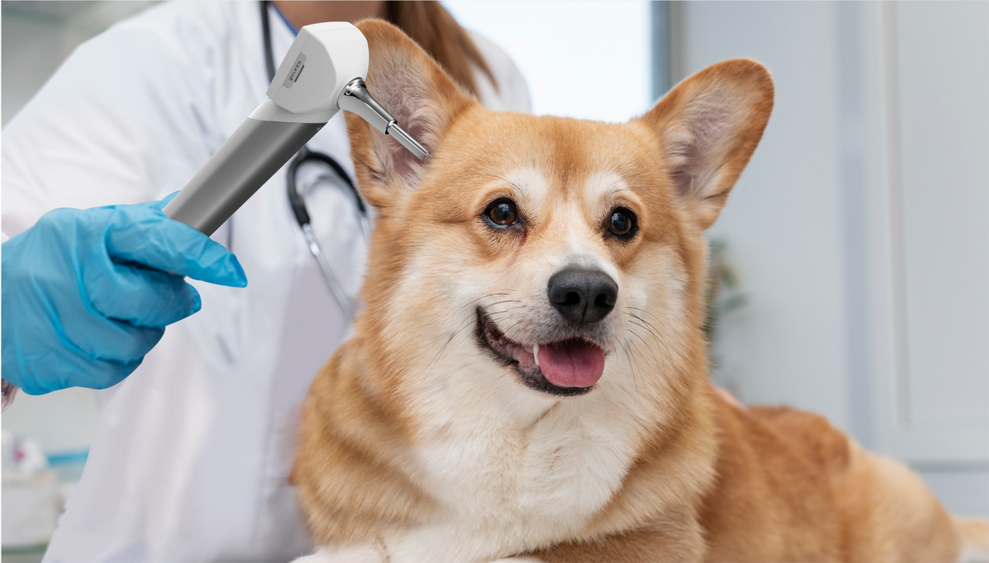 Vividia VO-101 LCD/USB/WiFi Wireless Handheld Veterinary HD Otoscope with 1.5" LCD Monitor USB Output WiFi Wireless for Android and Windows