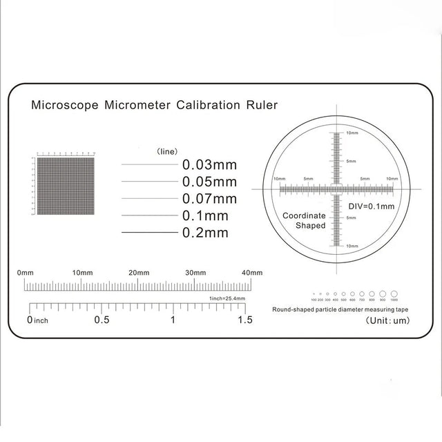 Microscopes Cell Size Ruler Microscope Micrometer Calibrator Ruler - Plastic – Oasis Scientific