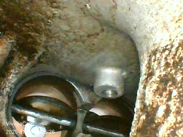 Vividia EDC-1641 Handheld USB HD Equine Horse Dental Camera