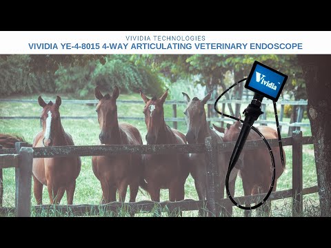 Vividia YE-4-8015 Portable Veterinary Flexible 4-Way Articulating Video Endoscope with 8mm Probe and 2.6mm Working Channel