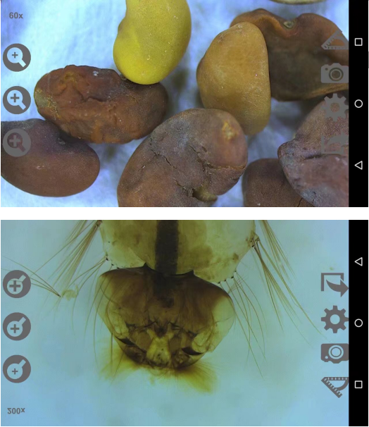 Vividia 3R-600 Portable Digital Autofocus Android Microscope with 4.7" Touch Screen and Measurement and Magnification 300x