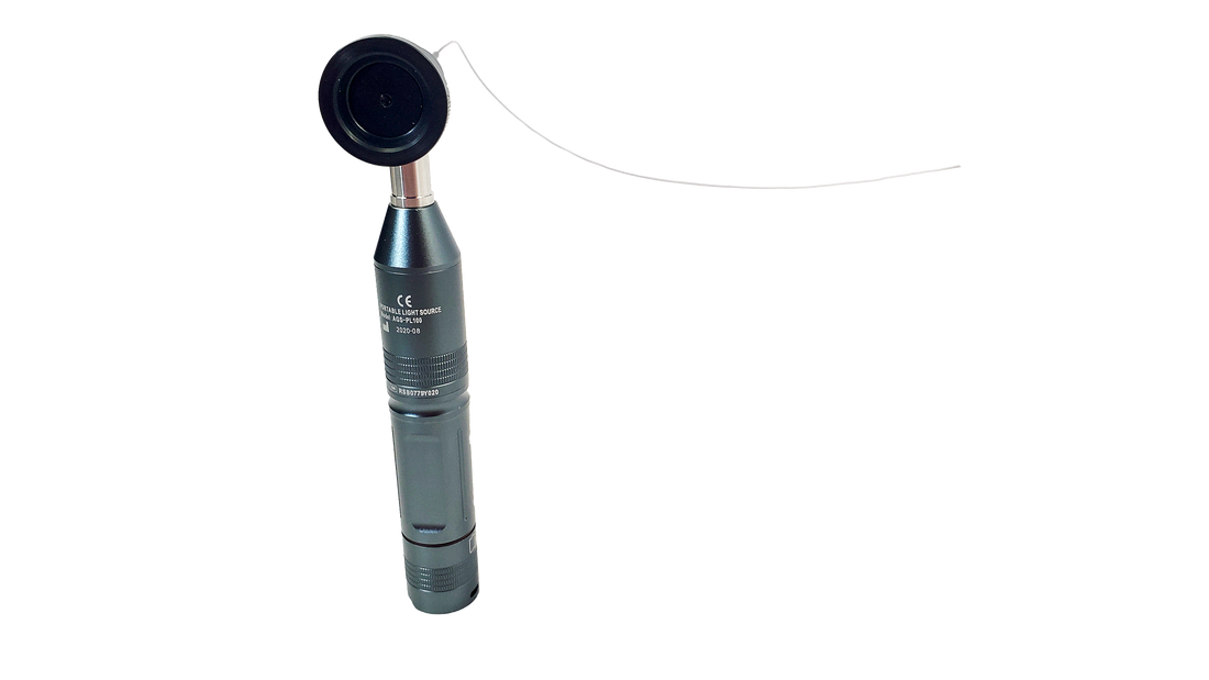Ultra thin borescope less than 1mm diameter 0.78mm diameter flexible ...
