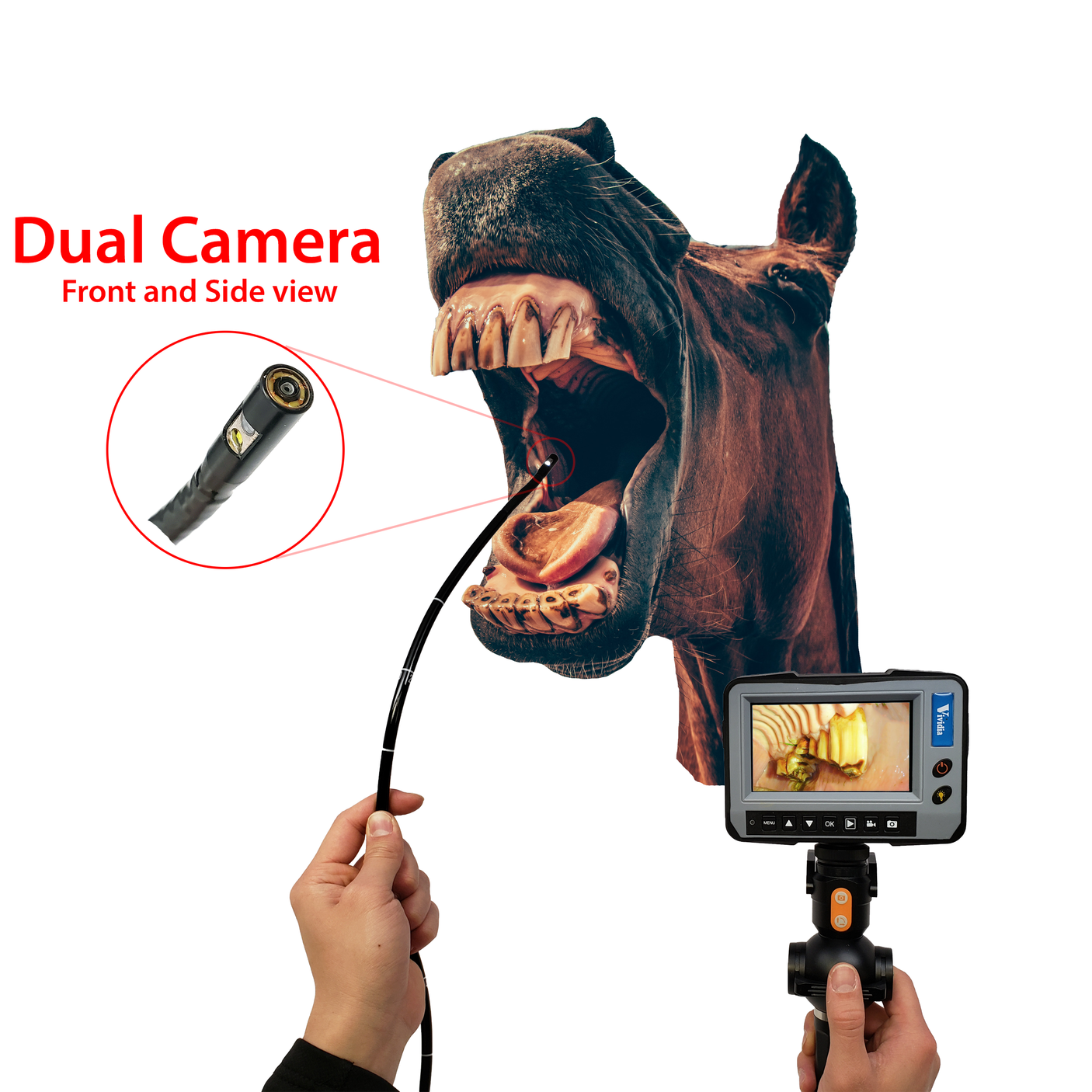 Vividia VE-4-D6915 Portable Veterinary Flexible 4-Way Articulating Video Endoscope Videoscope Borescope Inspection Camera with Replaceable Dual-Camera  6.9mm x 1.5m Long Polyethylene Probe