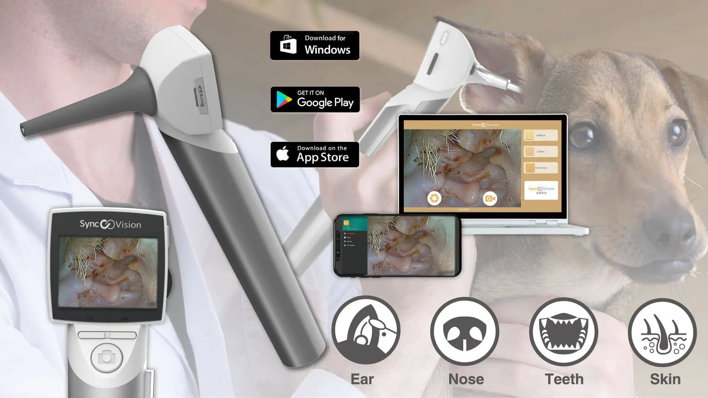 Vividia VO-101 LCD/USB/WiFi Wireless Handheld Veterinary HD Otoscope with 1.5" LCD Monitor USB Output WiFi Wireless for Android and Windows